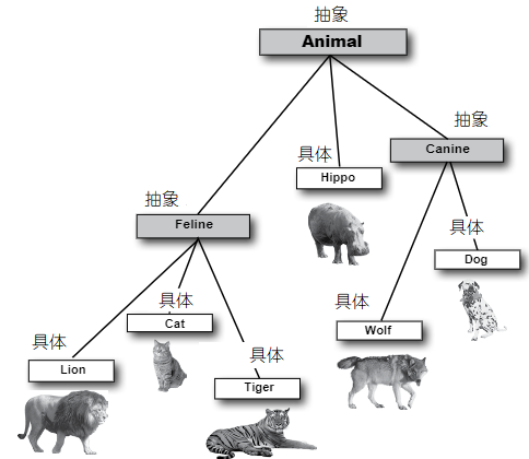 Animal 继承树上的抽象和具体类